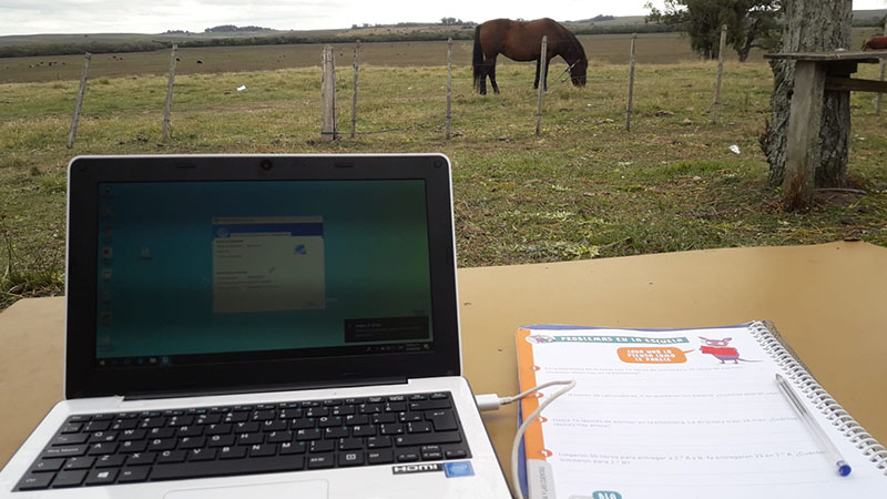 Computadora y cuaderno, en el campo, con un caballo detrás